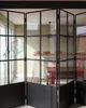 Folding Door thumbnail 3