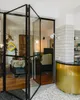 Folding Door thumbnail 5
