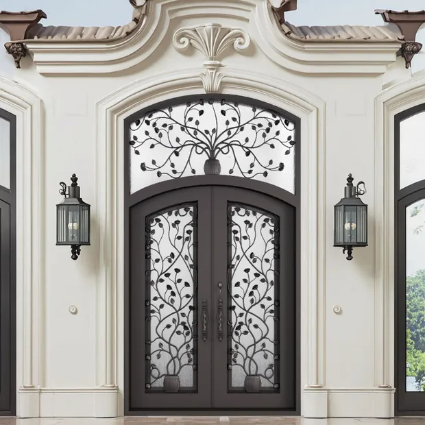 Iron Entry Door